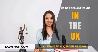 Studying American Law in the UK: Is It Possible?