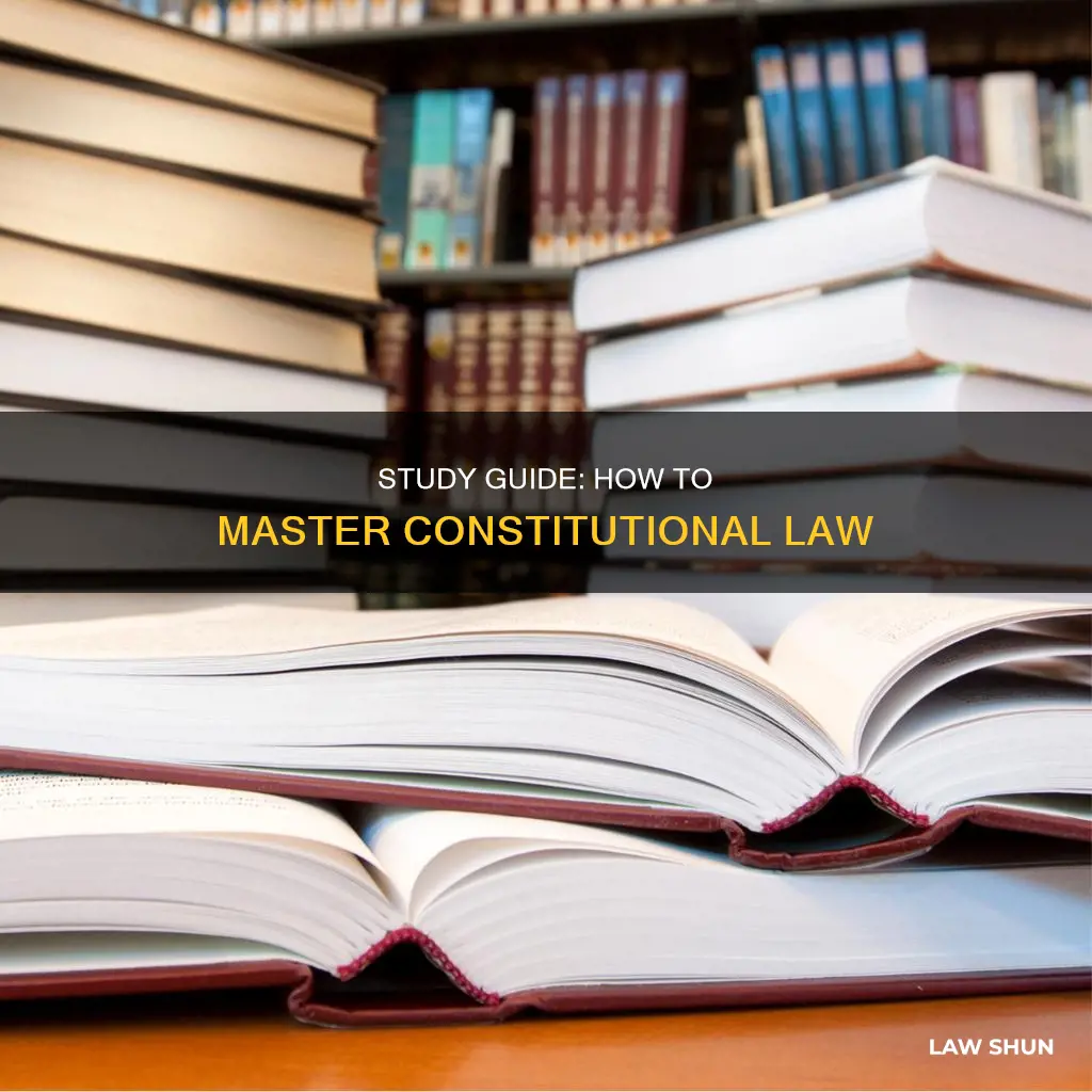 can you study constitutional law