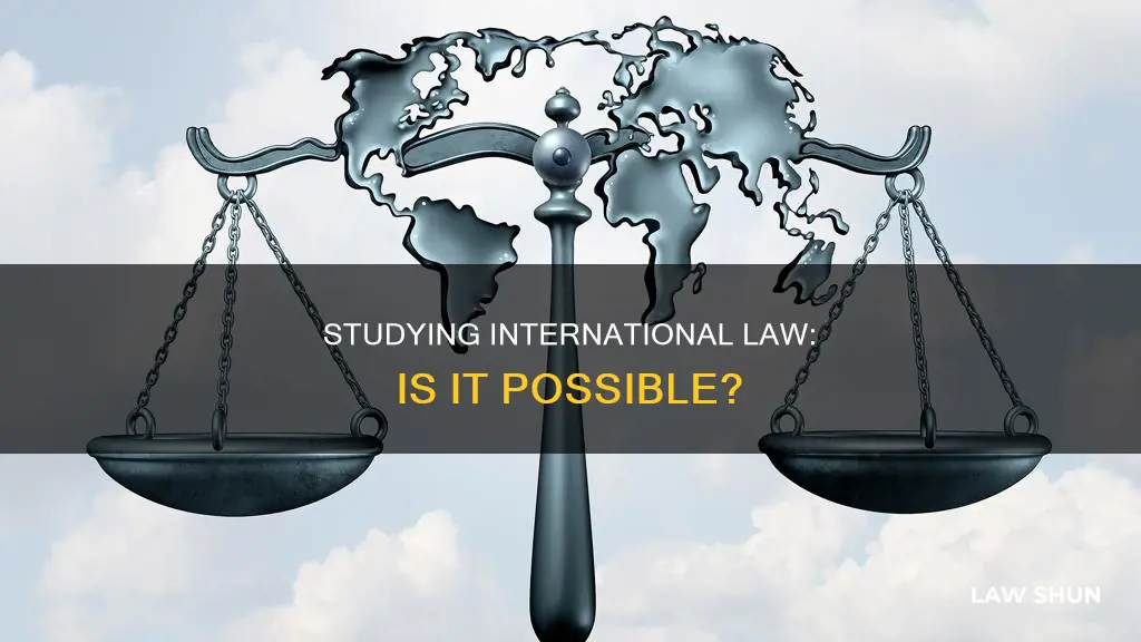 can you study international law