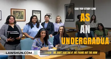 Law as an Undergraduate: Is It Possible?