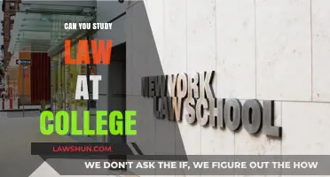 Law College: A Real Option for Aspiring Lawyers