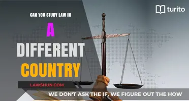 Studying Law Abroad: Is It Possible?