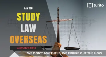 Studying Law Abroad: Is It Possible?