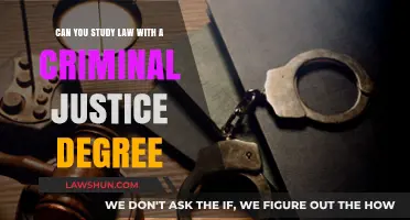 Criminal Justice Degree: A Path to Law School?