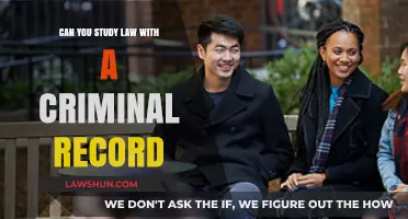 Studying Law: Criminal Records and Your Future