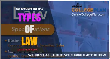 Study Multiple Types of Law: Is It Possible?