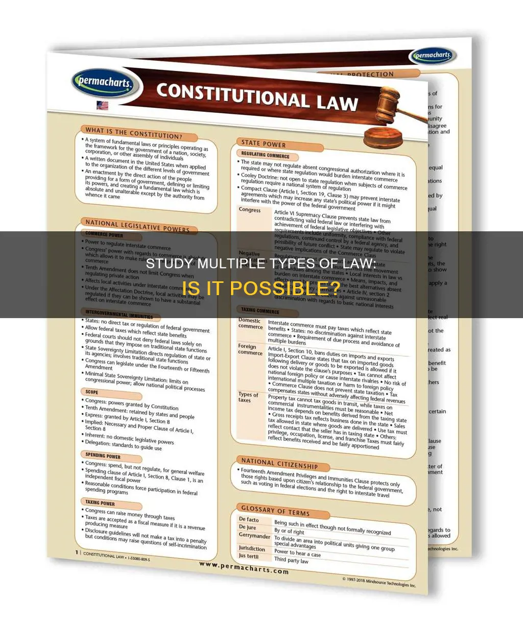 can you study multiple types of law