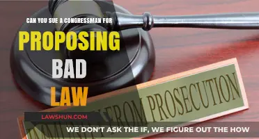 Suing Congress: Bad Law, Bad Faith?