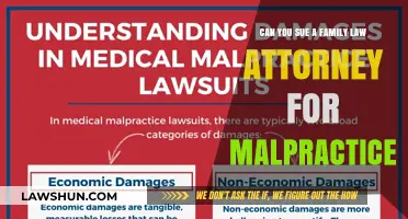 Suing Family Lawyers: Malpractice or Misconduct?