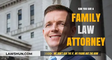 Suing a Family Law Attorney: When and Why?