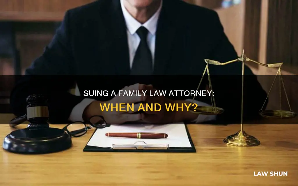 can you sue a family law attorney