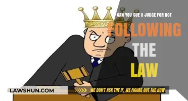 Suing Judges: What's the Legal Recourse?