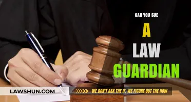Suing a Law Guardian: Is It Possible?