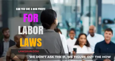 Suing Non-Profits: Are They Exempt from Labor Laws?