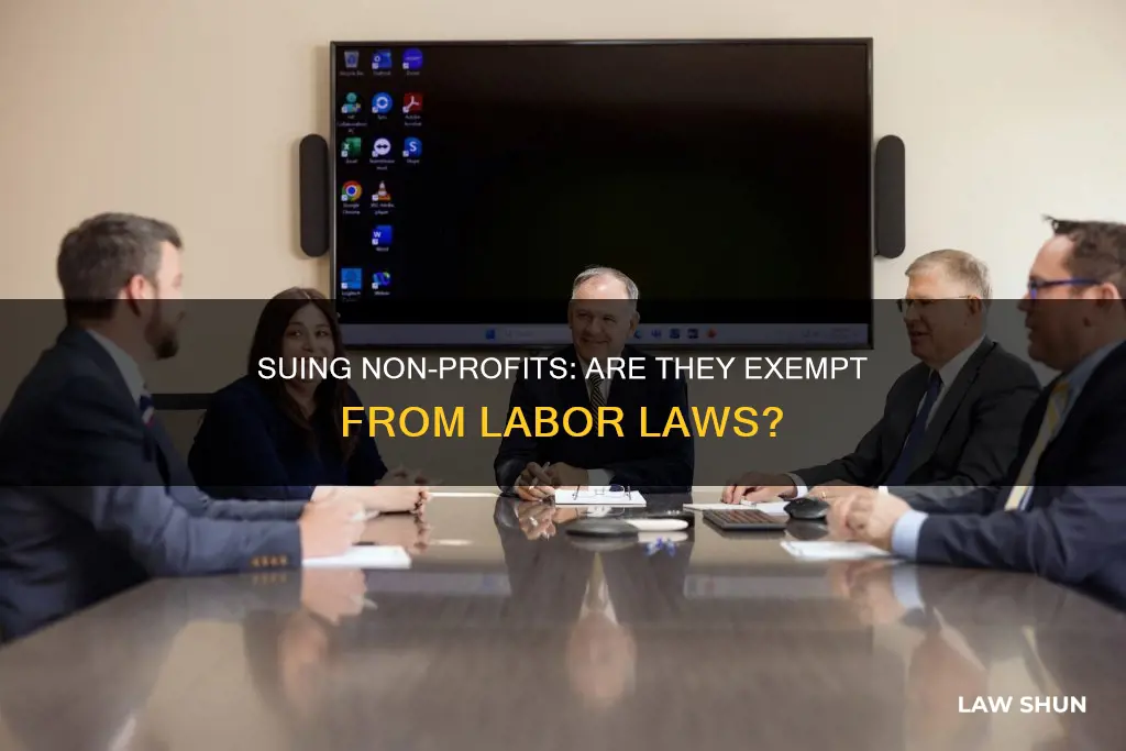 can you sue a non profit for labor laws