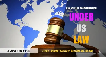 Suing Foreign Nations: US Law Application