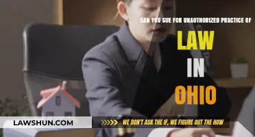Unauthorized Practice of Law: Can You Sue in Ohio?