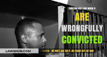 Wrongful Convictions: Can You Sue and Win?