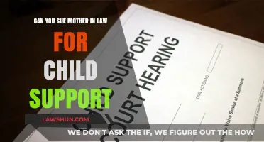 Mother-in-Law Child Support: Can You Sue?