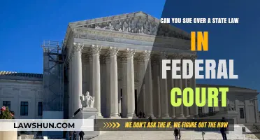 Suing Over State Laws: Federal Court Jurisdiction?