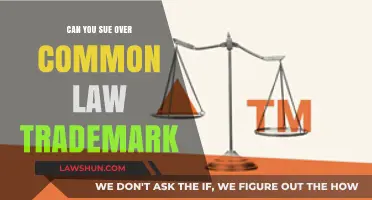 Trademark Tussle: Can You Sue for Common Law Rights?