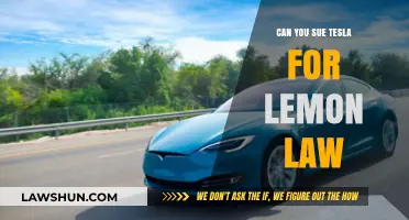 Lemon Law: Can You Sue Tesla?
