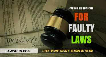 Suing the State: Faulty Laws and Your Rights