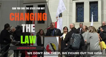 Suing the State: Can You Take Legal Action?
