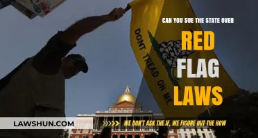 Suing the State: Red Flag Laws and Your Rights