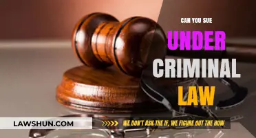 Criminal Lawsuits: Can You Sue?