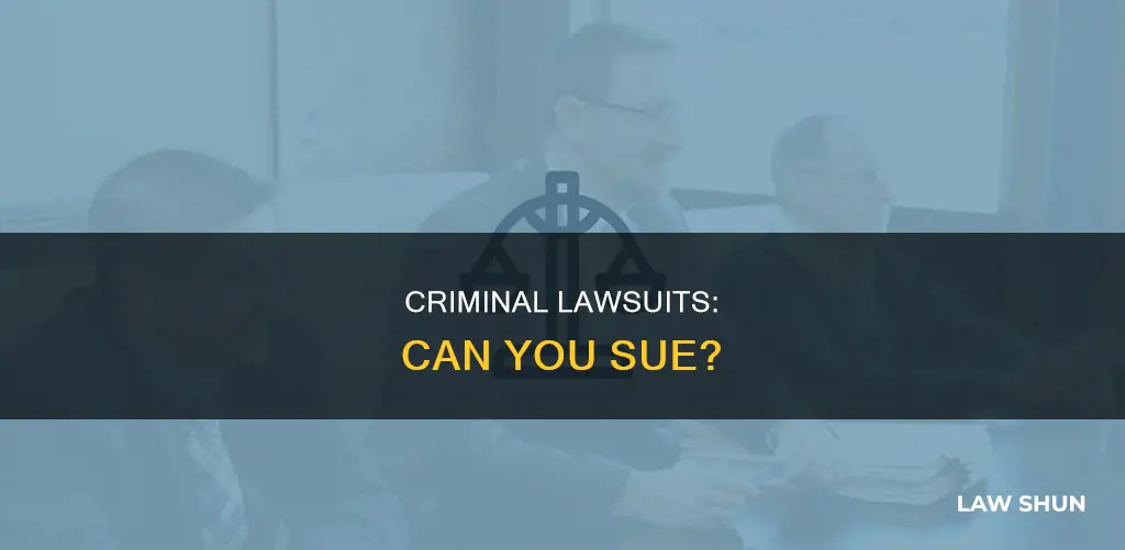 can you sue under criminal law