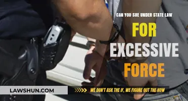 Excessive Force: Can You Sue Under State Law?