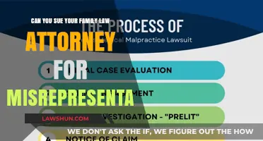 Suing Your Family Lawyer: Misrepresentation and Negligence