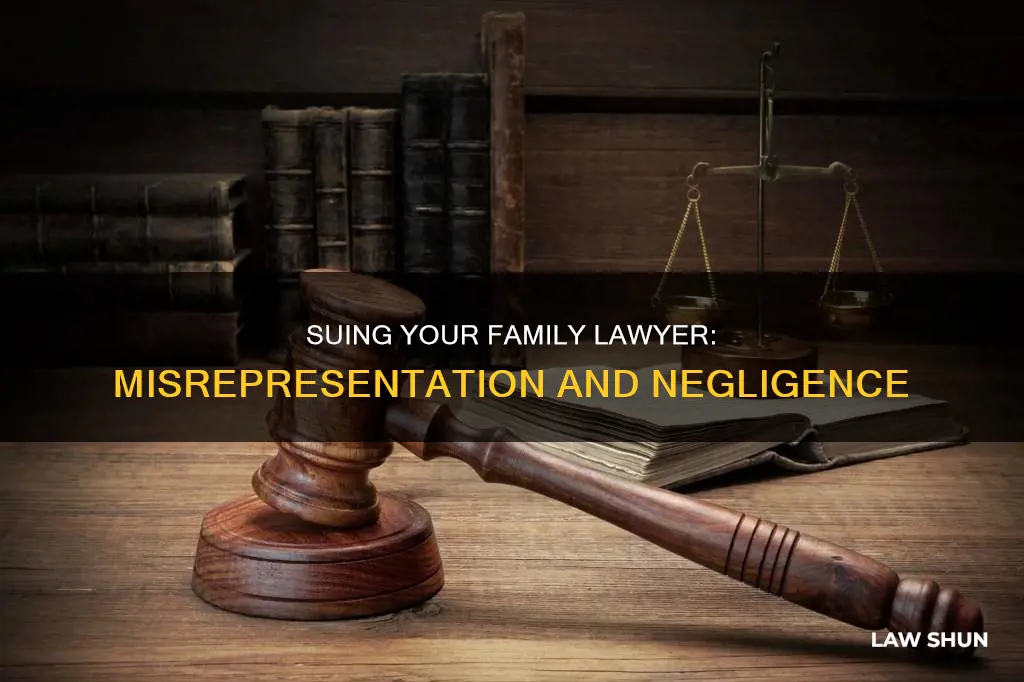 can you sue your family law attorney for misrepresentation