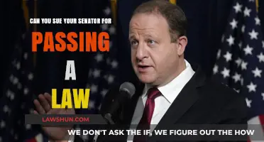 Suing Senators: Can You Take Legal Action?