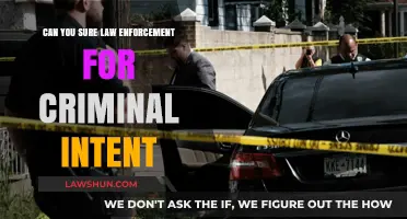 How to Prove Criminal Intent in Court