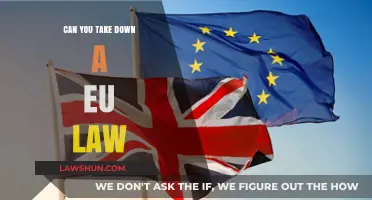 How to Challenge EU Law: A Guide