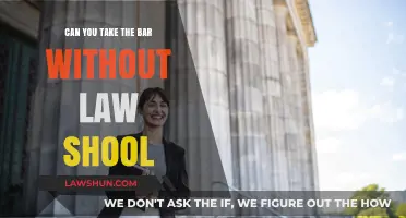 Law School Optional: Taking the Bar Exam
