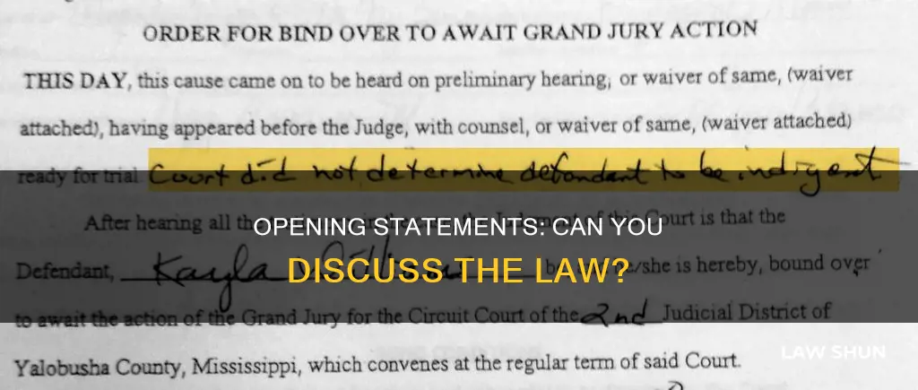 can you talk about the law in an opening statement