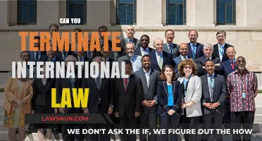 International Law Termination: Is It Possible?