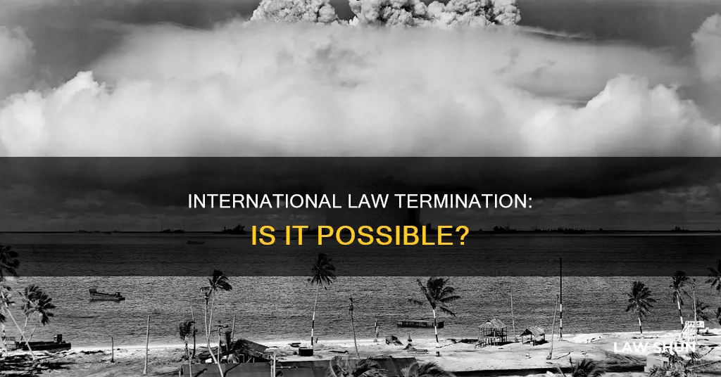 can you terminate international law