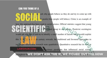 Social Science Laws: A Guide to Human Behavior