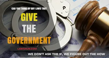 How Governments Use Laws to Control the People