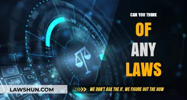 Thinking of Laws: What's on Your Mind?
