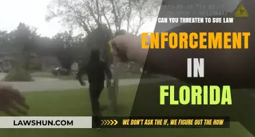 Suing Law Enforcement in Florida: Is It Possible?