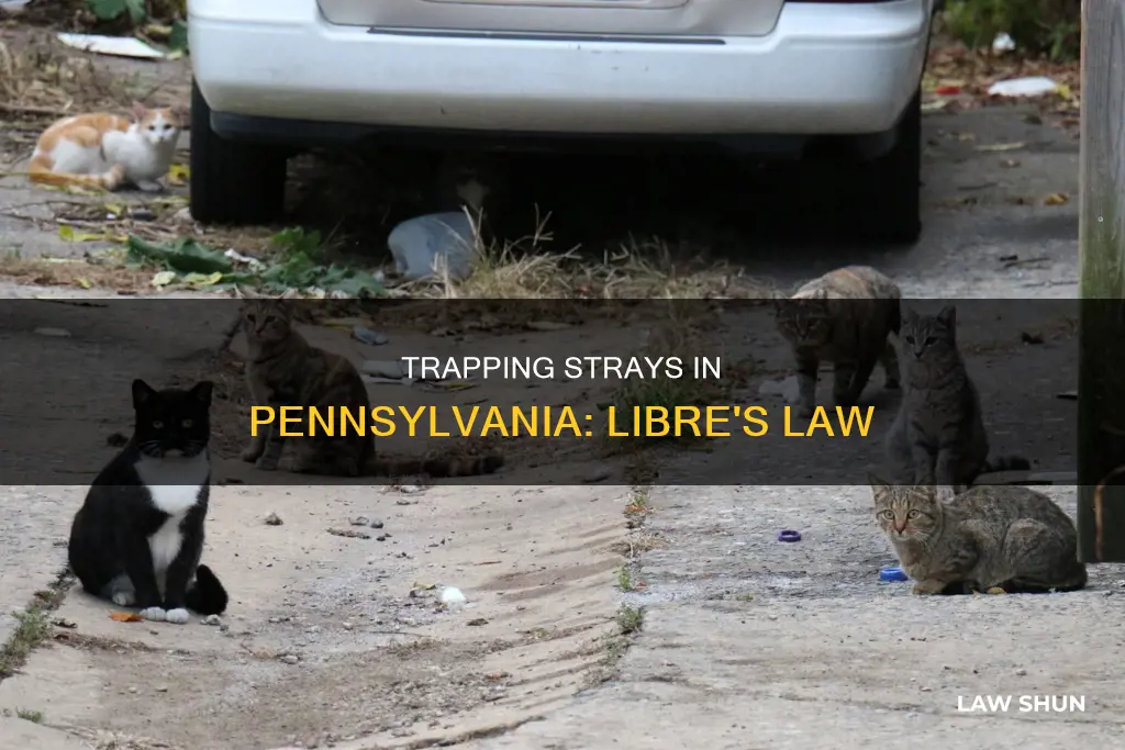 can you trap stray cats in pennsylvania libre
