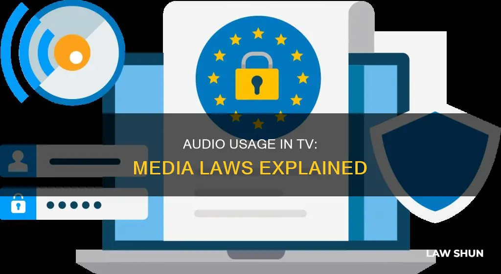 can you use audio for tv shows media laws