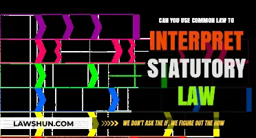 Common Law and Statutory Law: Interpreting the Relationship