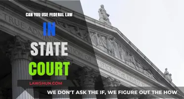 Federal Law in State Court: When and How?
