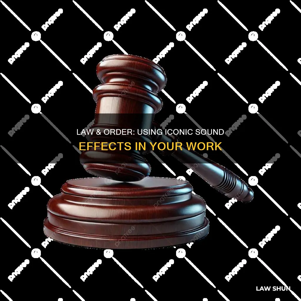 can you use law and order sound effect